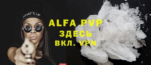 твердый Аркадак